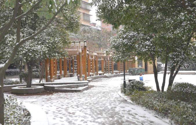 初雪逢周末，多个项目及时展开清理工作