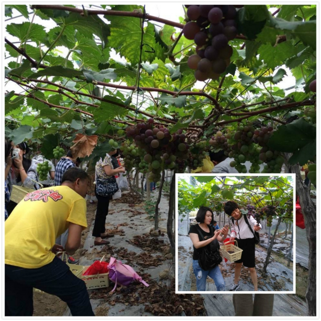 1436751404133613p685.png QQ图片20150713092856.png