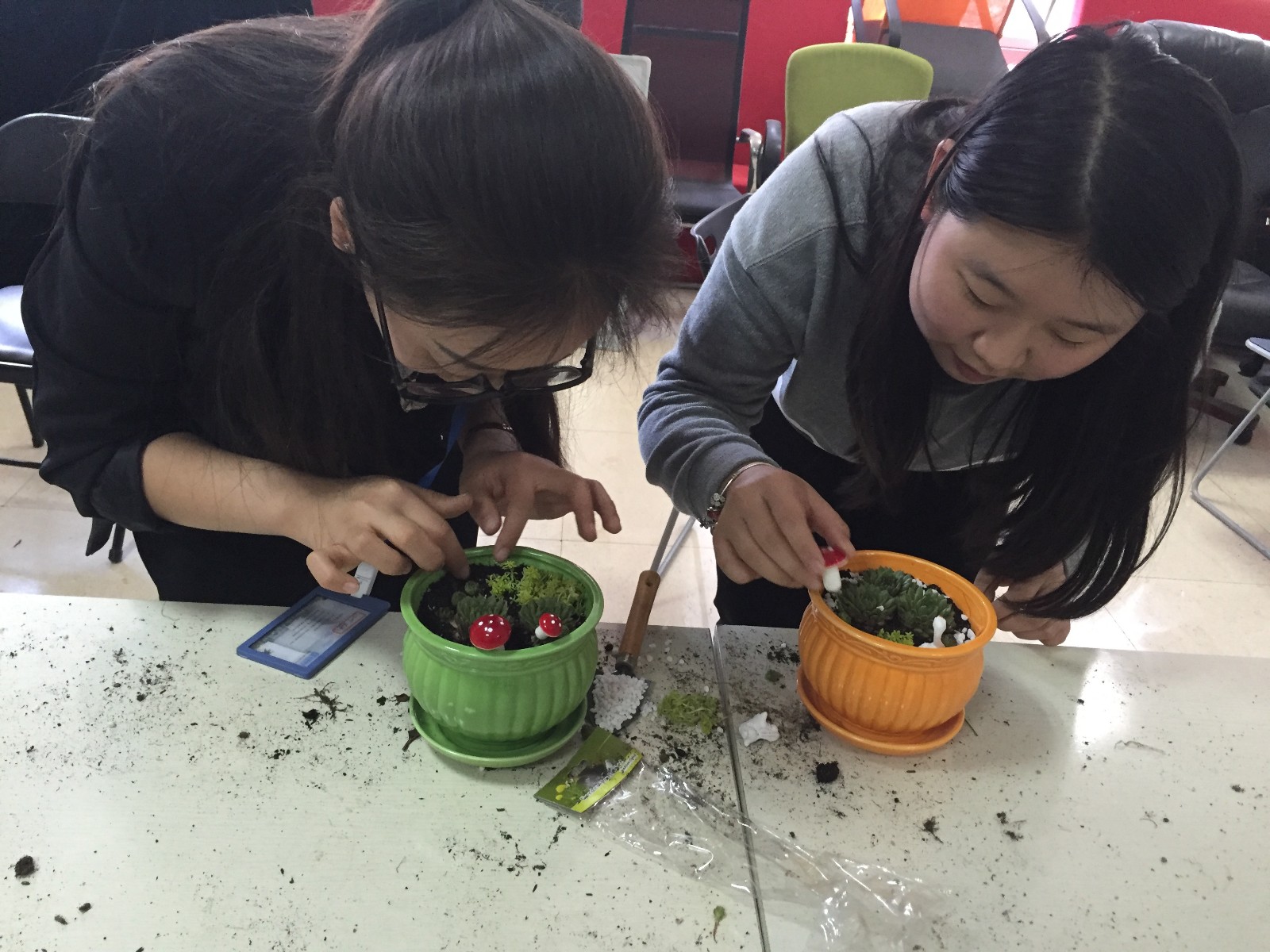 14647460721174168682.jpg IMG_0794.JPG