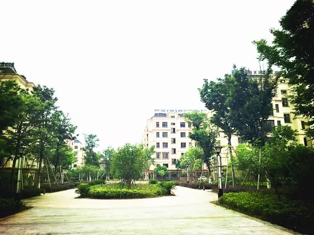 1498721484120230811F.jpg 640.webp.jpg