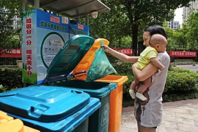 15002575921167155121.jpg 1.webp.jpg