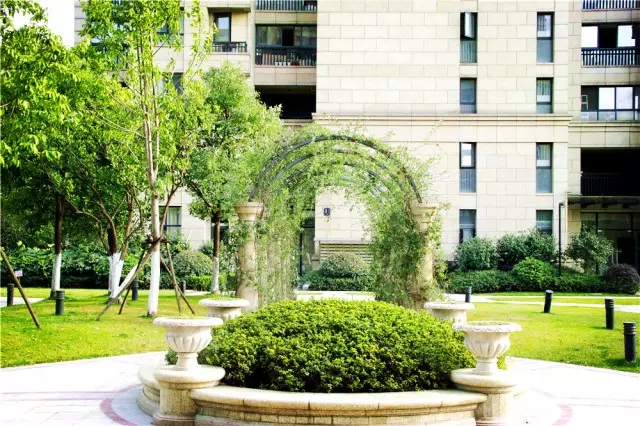 1500257675747462A00C.jpg 6.webp.jpg