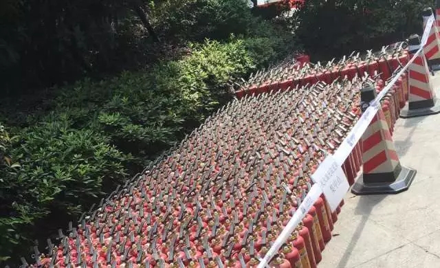 15008622841052817953.jpg 640.webp.jpg