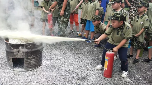 1502087598120239EC31.jpg 640.webp.jpg