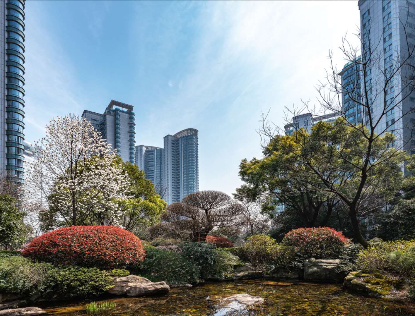 15613573981348359FA6.jpg 微信图片_20190624141827.jpg