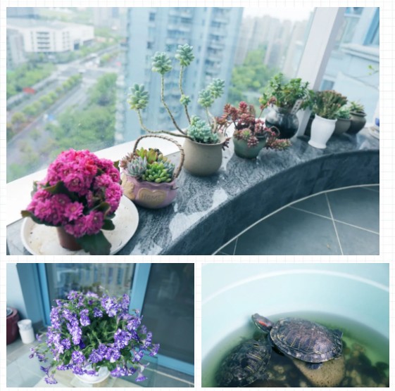 1588241082116443fYgj.jpg 1.jpg