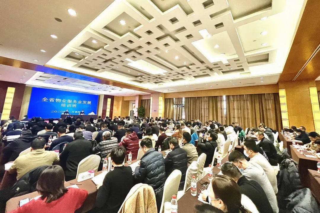 1611222794809498S0vv.jpg 3.jpg