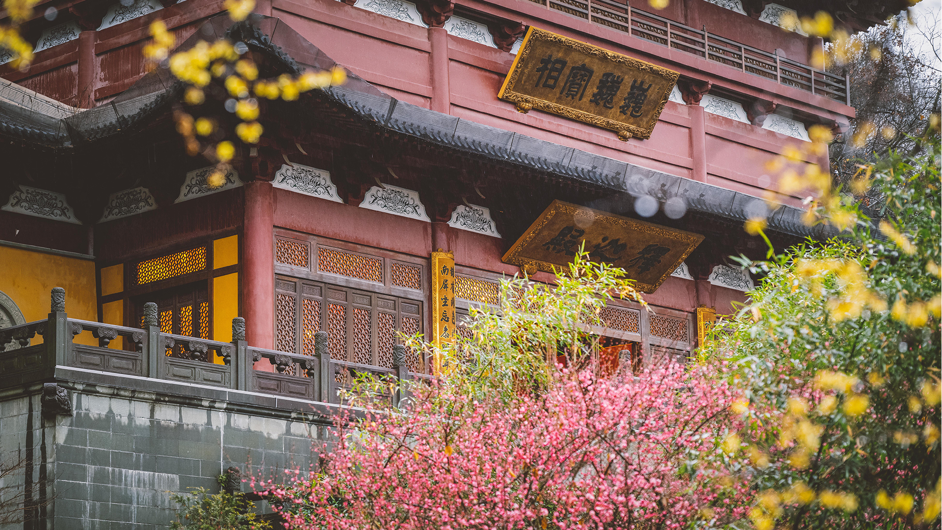 1710754851725867V3lz.png 图片 2.png