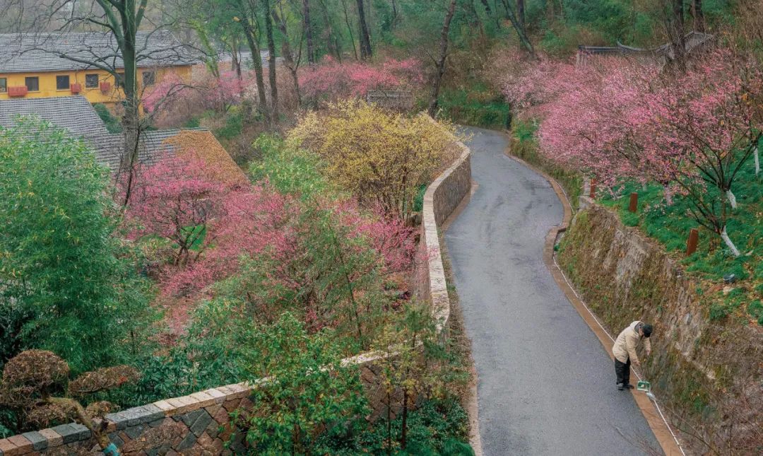 1710754913250421pbPH.jpg cn_sz_mmbiz_jpg_mCBGRVTI6jI5FN5aE0ddxqk8sCBdhJXradHt6MYPHIibvHsTuTpH51IfATUPiamKDvASY3NL2wDV6axicvq4khutQ_.jpg