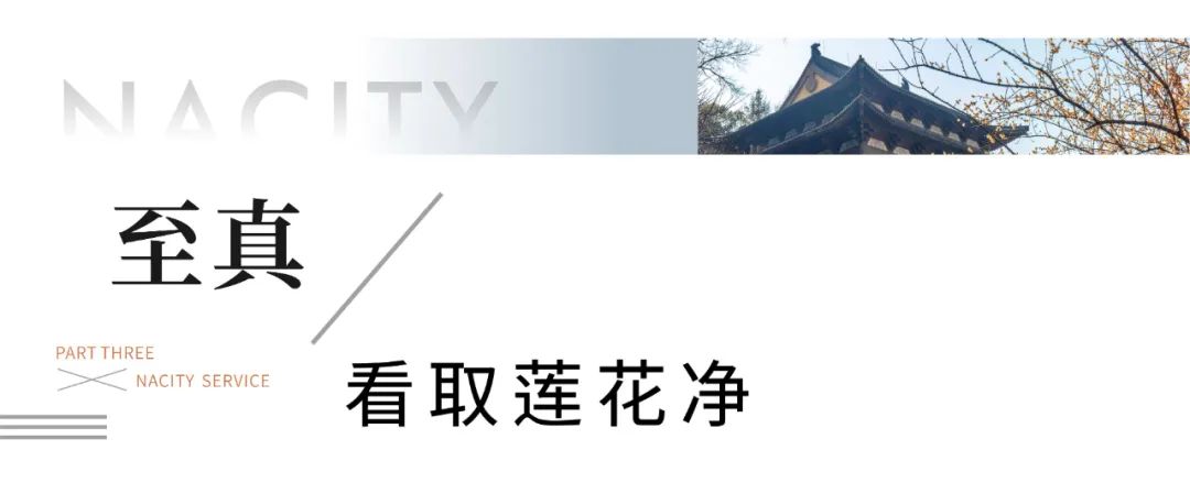 1710755133628766ajTV.jpg cn_sz_mmbiz_jpg_mCBGRVTI6jKicwy2MaSJPpX2V5vppxS9mXQAUVJIQ82eEtdsCvcyLdYPqmtKq7nuyzGDYNvcc64OvBRwfFSEsBw_.jpg