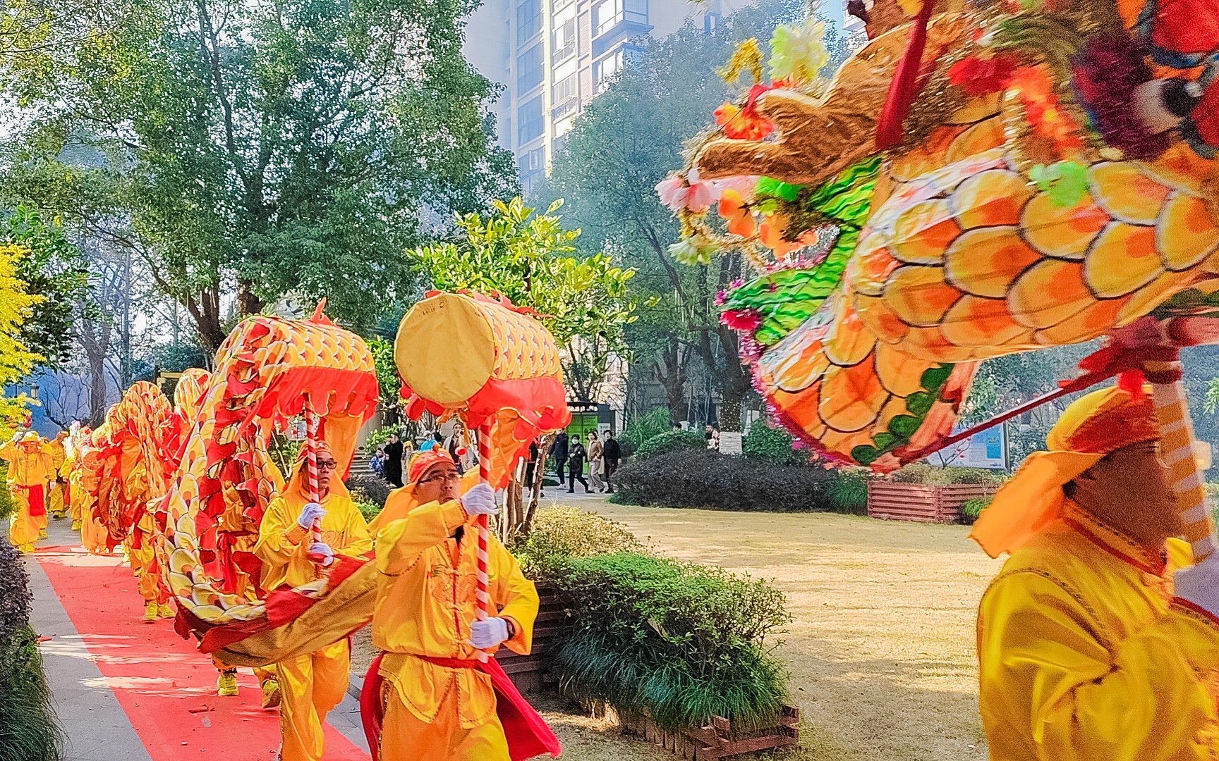 17108359621251758Sxp.jpg 20240219-锣鼓-舞狮-舞龙4.jpg